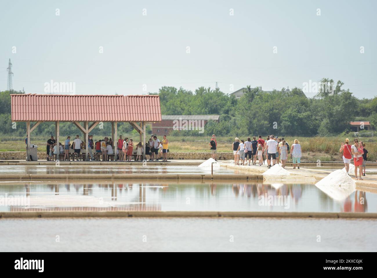 02.08.2019., Nin, Croatie - Solana Nin ouvre ses portes à tous les visiteurs. Avec l'entrée gratuite, vous pouvez vous sentir libre de regarder autour des champs de sel et de vous renseigner sur le processus et les étapes de sa création. Whit bras ouverts vous attend une richesse de la flore et de la faune où vous aurez l'occasion d'observer plus de 250 différentes vitesses d'oiseaux, crabes et beaucoup de saltmarais de plantes spécifiques seulement pour le sol péloïde. Photo: Dino Stanin/PIXSELL Banque D'Images