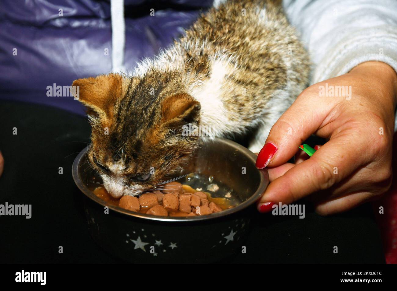 Le Volontaire Spomenka Milkanovic De Bosanski Brod S occupe 