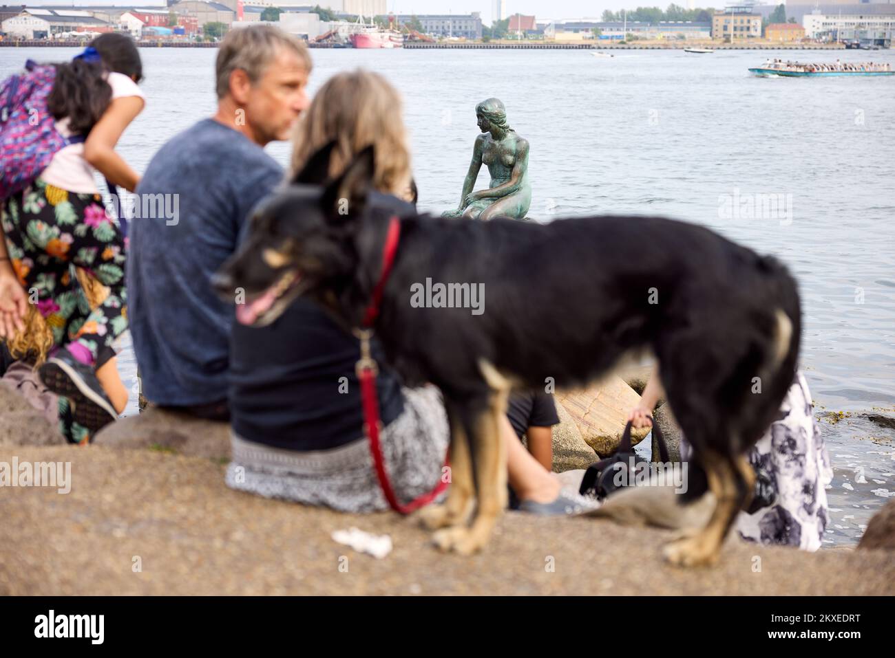 Touristes par la petite Sirène; Copenhague, Danemark Banque D'Images