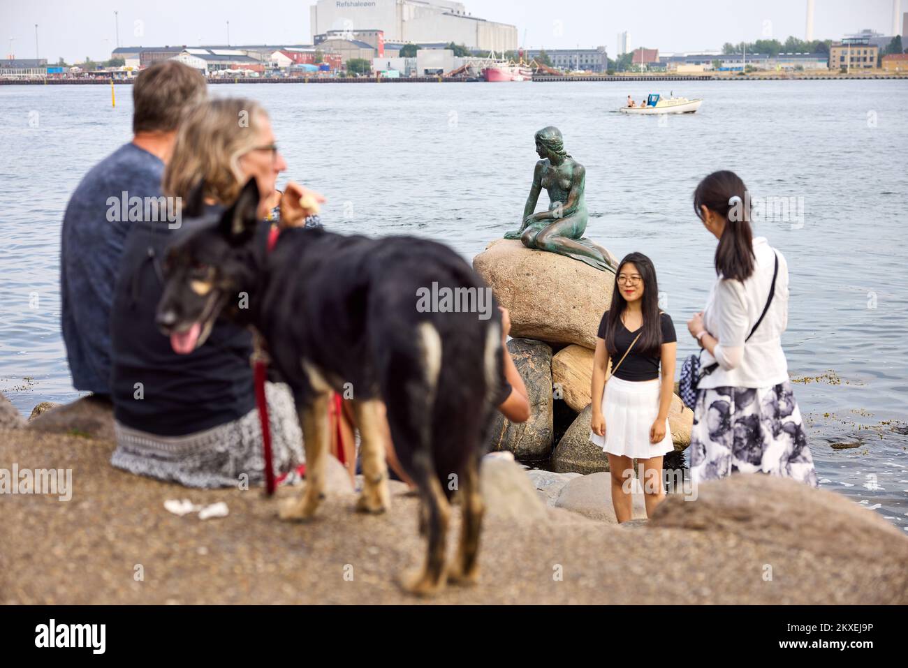 Touristes par la petite Sirène; Copenhague, Danemark Banque D'Images