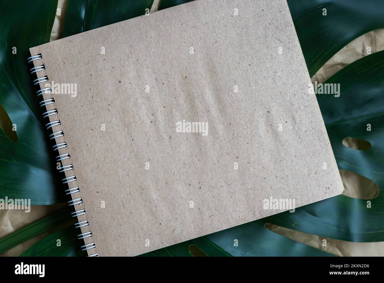 Carnet de croquis artisanal en papier sur feuilles exotiques. Arrière-plan naturel. Copier l'espace Banque D'Images