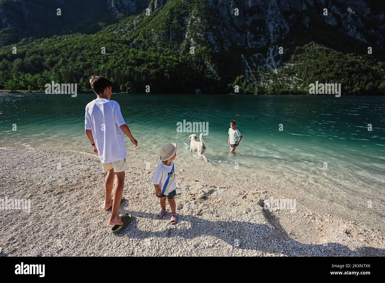 Enfants et chien dans le lac Bohinj, le plus grand lac de Slovénie ...