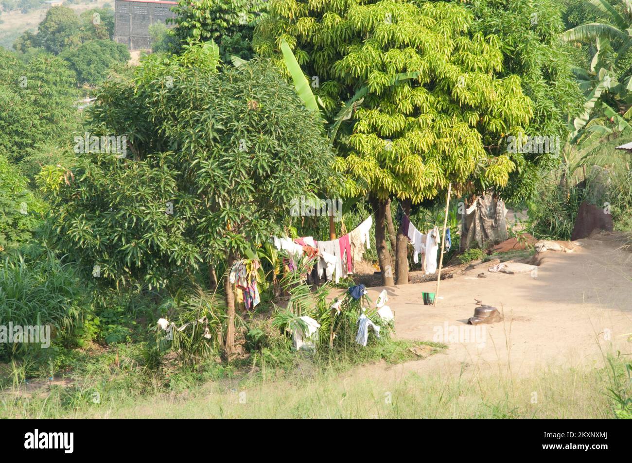 Cour et maison, à la périphérie de Kinshasa, République démocratique du Congo Banque D'Images