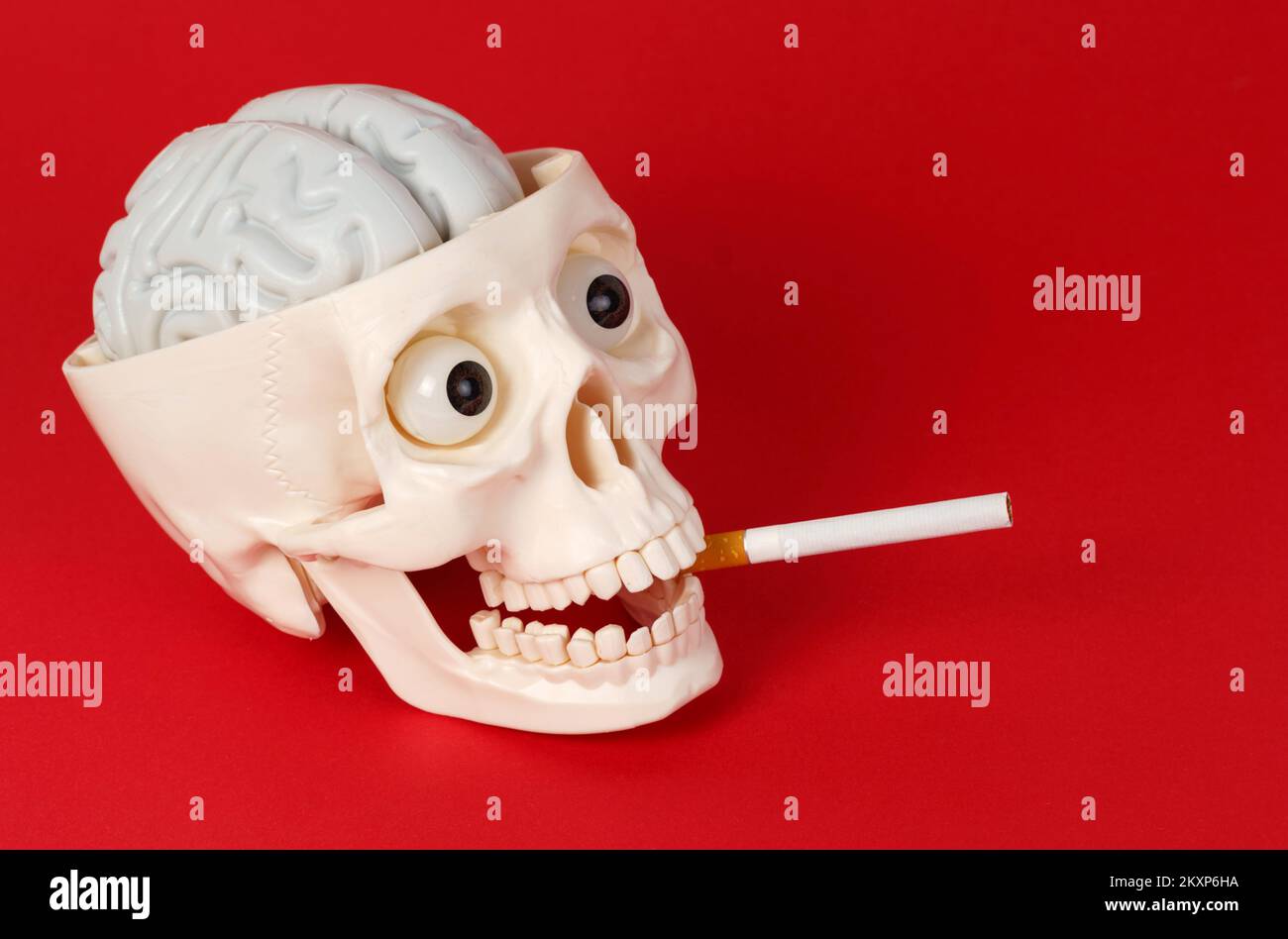 Human skull with cigarette in mouth Banque de photographies et d’images
