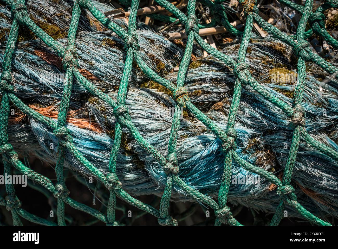 détail d'un filet de pêche abîmé Banque D'Images