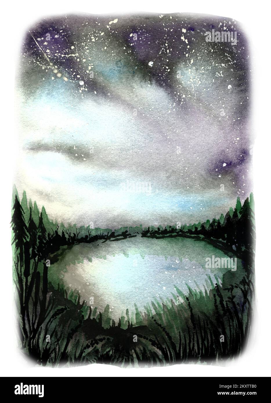 Paysage avec un lac d'été, ciel nuageux, étoiles, silhouettes de plantes et eau. Banque D'Images