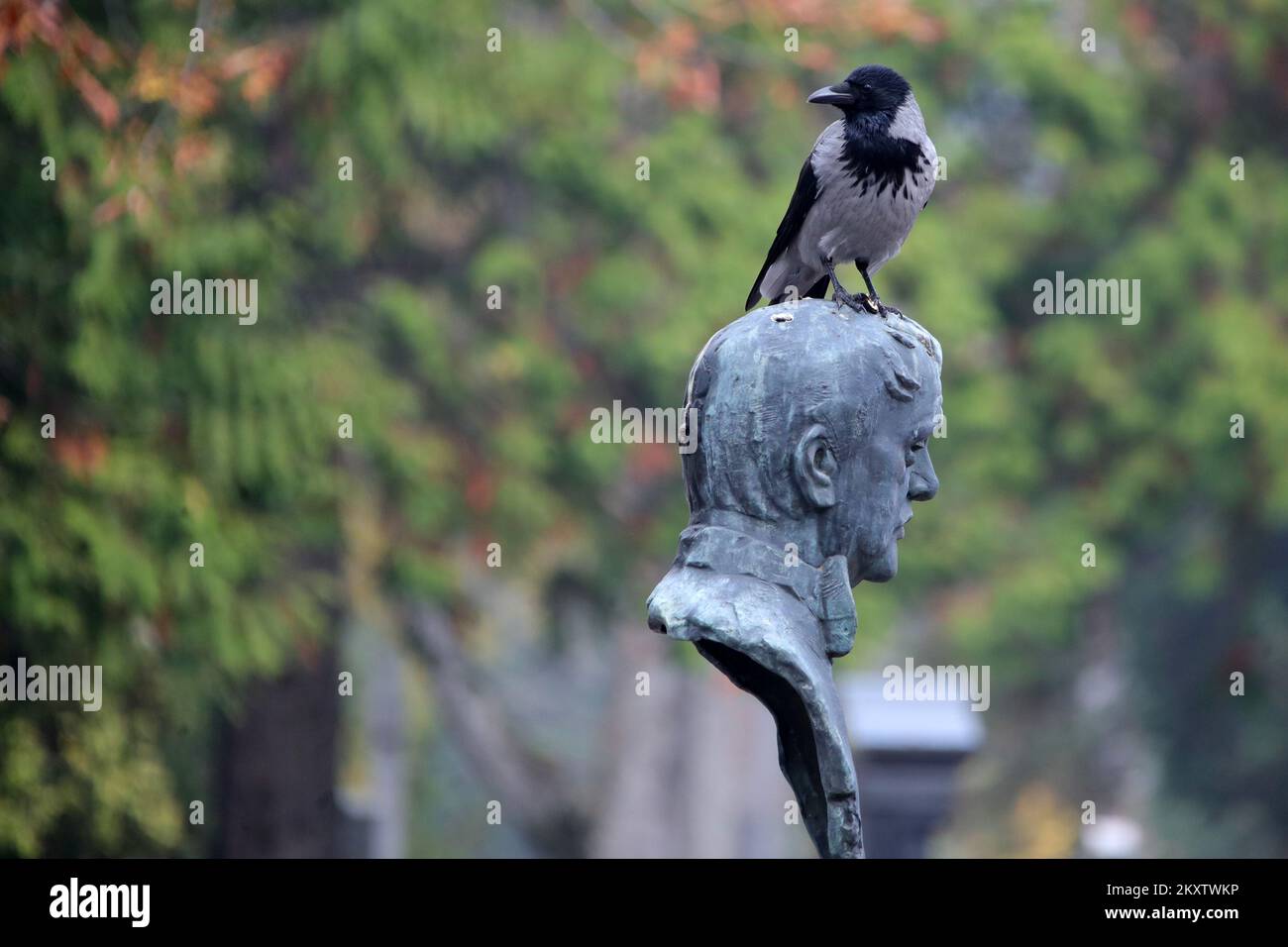 Un Nid-de-Corbeau est vu sur une statue pendant la Toussaint au cimetière Mirogoj à Zagreb, en Croatie, sur 1 novembre 2021. Les catholiques marquent la Toussaint en visitant les cimetières et les tombes de parents et d'amis décédés. Photo: Sanjin Strukic/PIXSELL Banque D'Images