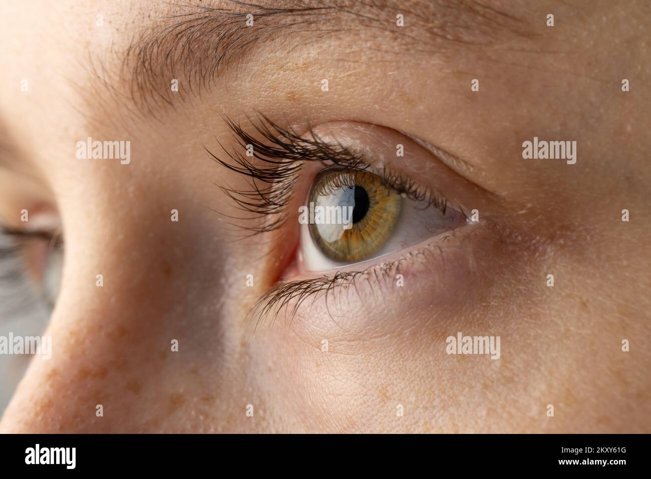 Gros plan des yeux de la femme caucasienne sur fond gris Banque D'Images