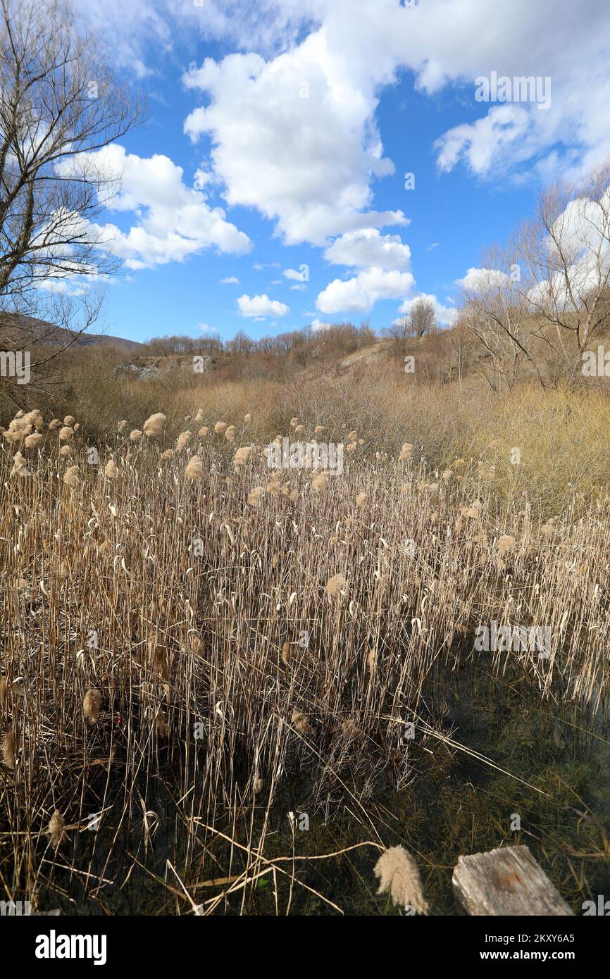 Belle vue sur la rivière Korana près du village de Smoljanac à Rakovica, Croatie, le 25 février 2022. La Korana se trouve dans les lacs de Plitvice. Il est long de 134,2 km de la source à l'embouchure de la rivière Kupa à Karlovac. Il appartient au bassin de la mer Noire et n'est pas navigable. Dans de nombreuses parties de la Korana, elle traverse des canyons calcaires pittoresques d'une hauteur de cent mètres ou plus.photo: Kristina Steul Fabac/PIXSELL Banque D'Images