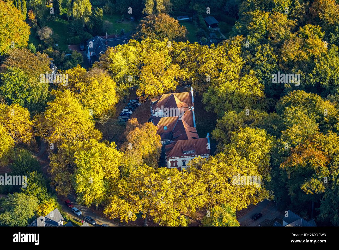 Vue aérienne, école de musique de la ville de Gladbeck, arbres aux couleurs automnales, Bernskamp, Rentfort, Gladbeck, région de Ruhr, Rhénanie-du-Nord-Westphalie, Allemagne, Banque D'Images