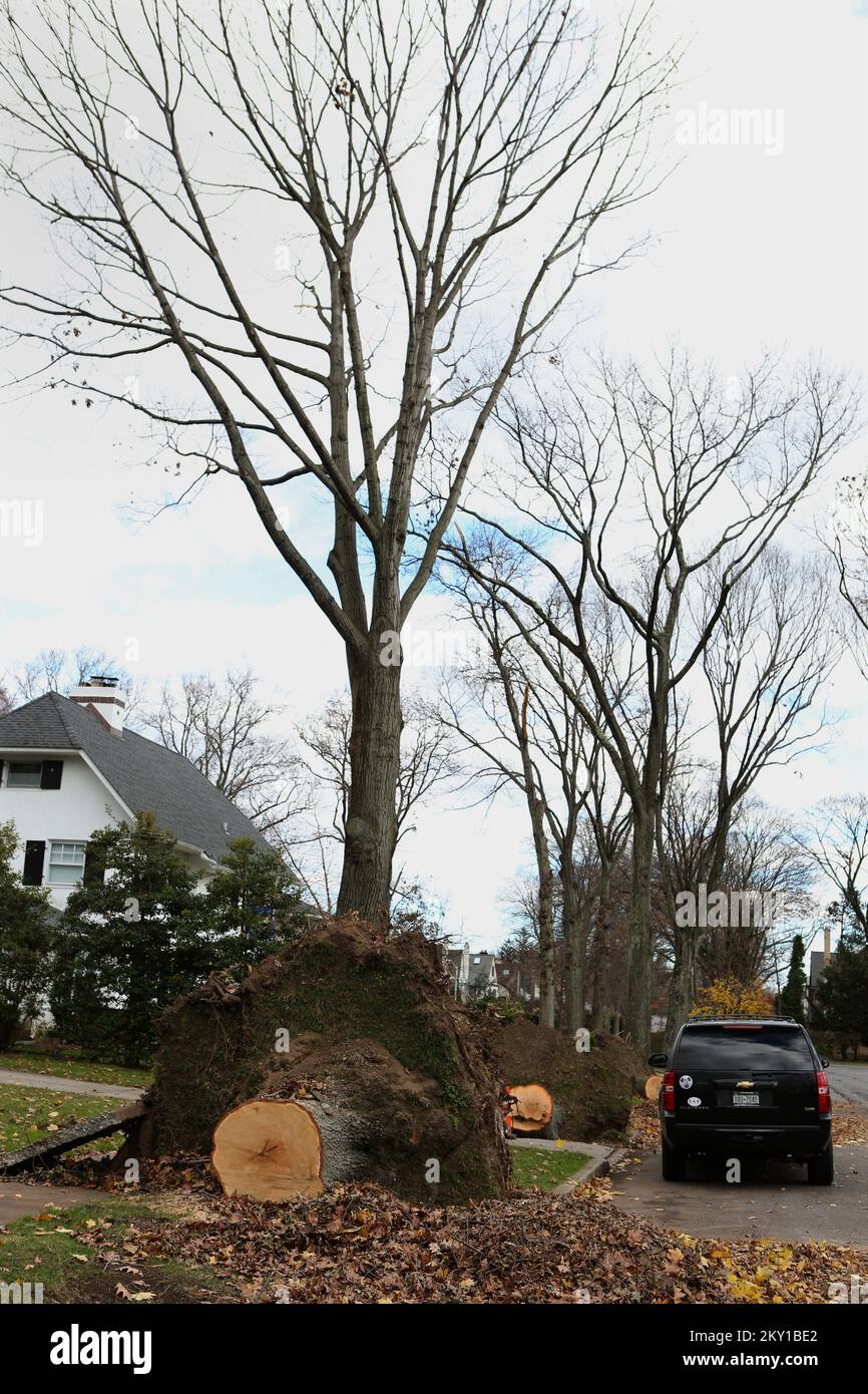 Garden City, New York, le 24 novembre 2012 arbres le long des numéros de maison 49 et 51, rue Locust, à Garden City, New York, attendent le nettoyage après être tombé des vents de l'ouragan Sandy, 24 novembre 2012. La FEMA collabore avec divers partenaires, notamment les gouvernements fédéral, locaux et tribaux des États, les organisations bénévoles confessionnelles et communautaires, ainsi que le secteur privé, pour aider les résidents touchés par l'ouragan Sandy. Chris Kleponis/FEMA. New York ouragan Sandy. Photographies relatives aux programmes, aux activités et aux fonctionnaires de gestion des catastrophes et des situations d'urgence Banque D'Images