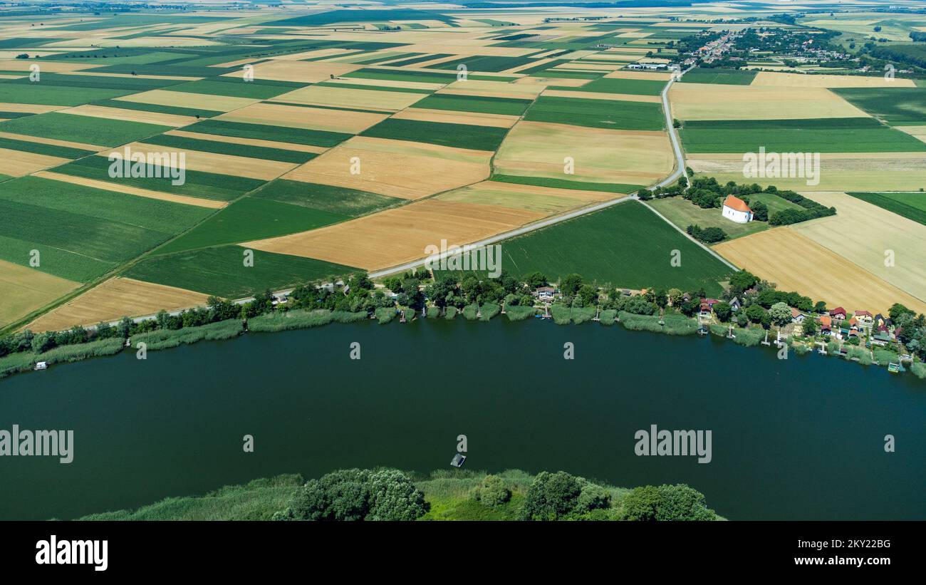 Vue aérienne des grandes terres agricoles cultivées et du affluent du Danube près de Topolje à Baranja, Croatie, sur 15 juin 2022. Banque D'Images