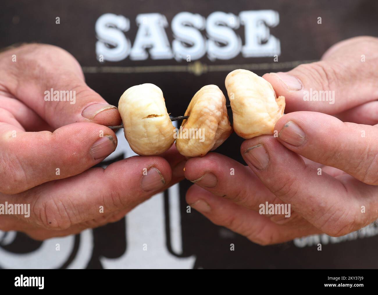 La façon traditionnelle de sécher les figues peut être vue dans la photo à Grabastica, région de Dalmatie, sur 23 août 2022. Les résidents de Grebastica ont l'habitude de sécher les figues de façon naturelle. Ils laissent juste le fruit dans les tables dites gazijola qui sont placées hors de l'ombre. Le soleil sèche les figues, évaporant les jus tout en augmentant la force de l'arôme fruité. Photo: Dusko Jaramaz/PIXSELL Banque D'Images