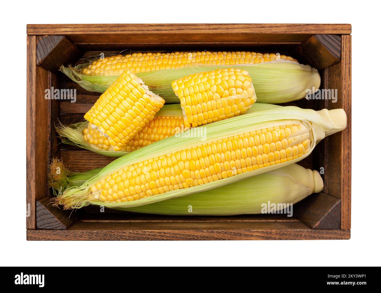maïs dans un chemin de boîte isolé sur blanc Banque D'Images