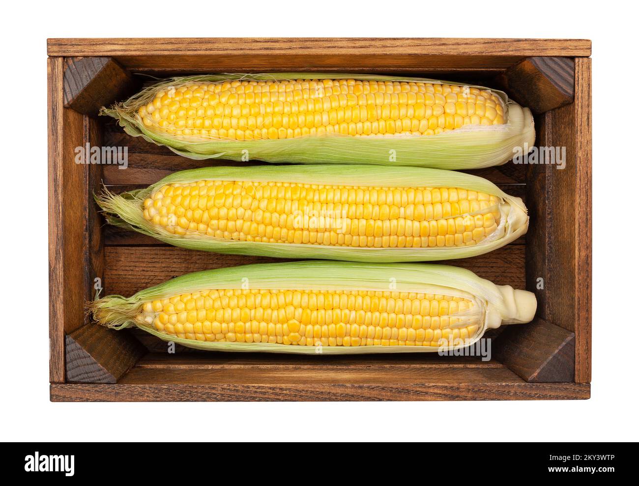 maïs dans un chemin de boîte isolé sur blanc Banque D'Images