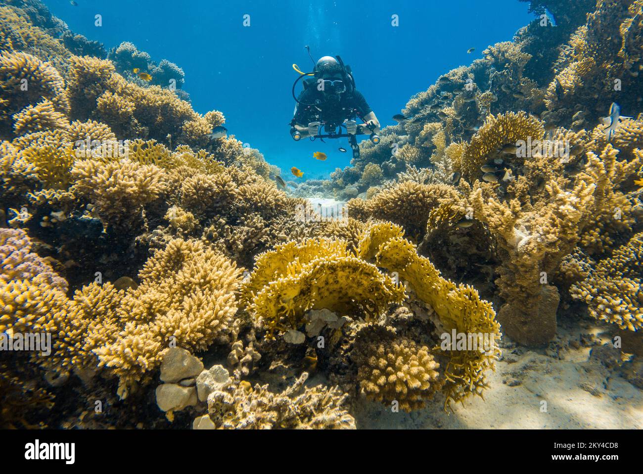 Les touristes du monde entier viennent en Egypte pour plonger dans la beauté de la mer Rouge à Hurgada, Egypte sur 27 septembre 2022. Photo: Davor Javorovic/PIXSELL Banque D'Images