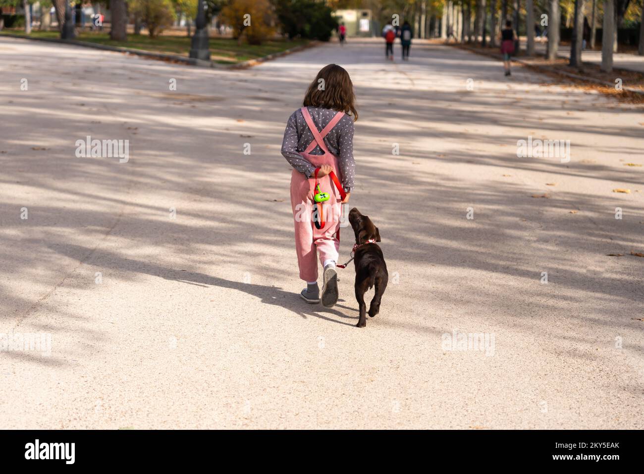 Une fille blonde vêtue de rose, traverse un parc avec son chiot labrador Retriever Banque D'Images