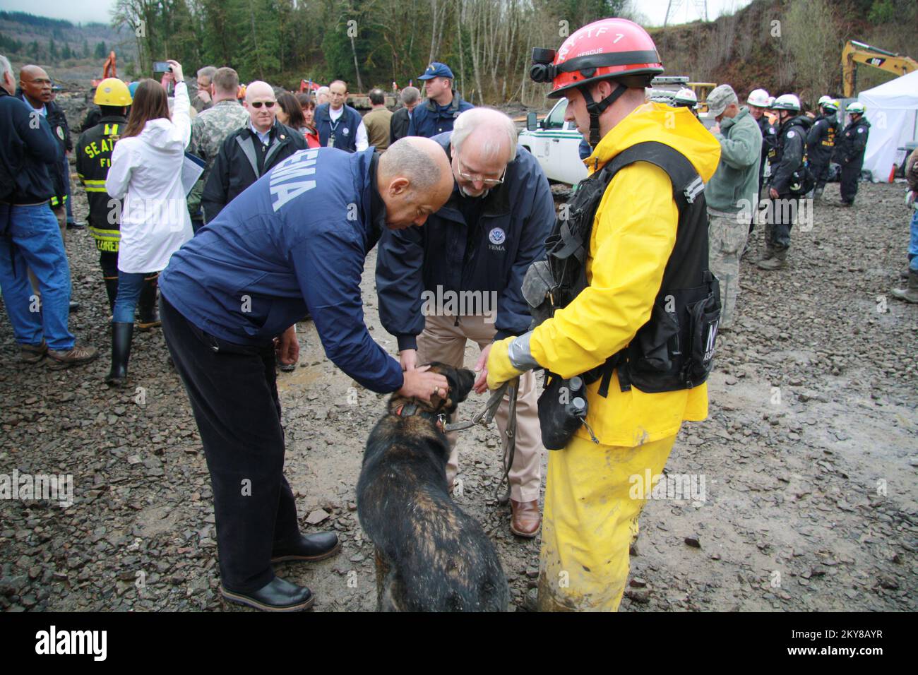 Comté de Snohomish, Washington, 6 avril 2014 Ministère de la sécurité intérieure Secrétaire Jeh Johnson et l'administrateur de la FEMA Craig Fugate rencontrent Hondo, une partie de l'équipe canine NYTF1 qui soutient les opérations de recherche et de récupération pour la diapositive SR530. Photographies relatives aux programmes, aux activités et aux fonctionnaires de gestion des catastrophes et des situations d'urgence Banque D'Images