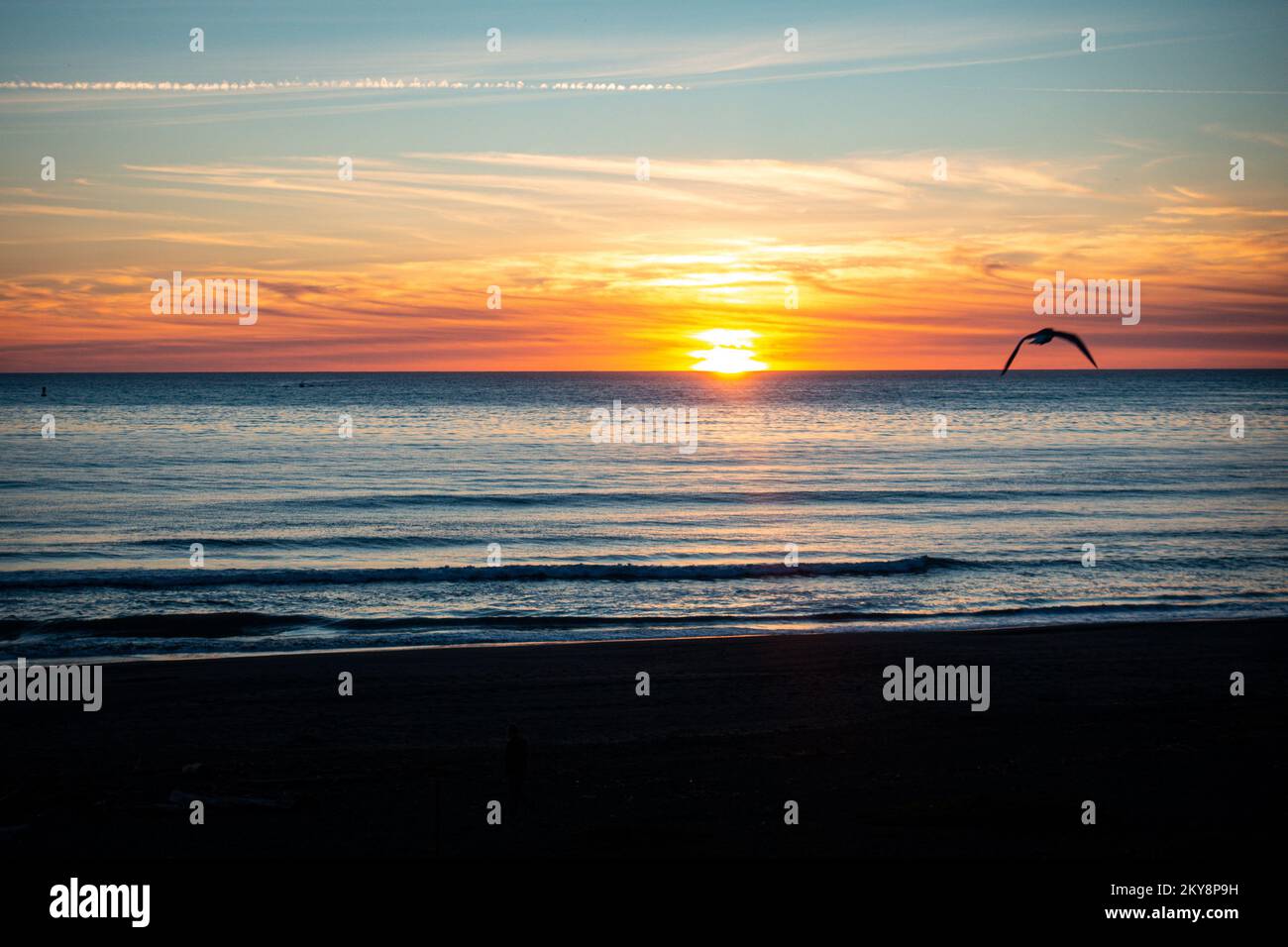 Le sud de l'Oregon Coast Banque D'Images