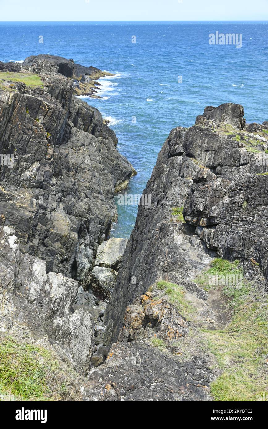 Sawtell Beach & Bonville Headland est le prochain arrêt au sud de Coffs Harbour. Banque D'Images