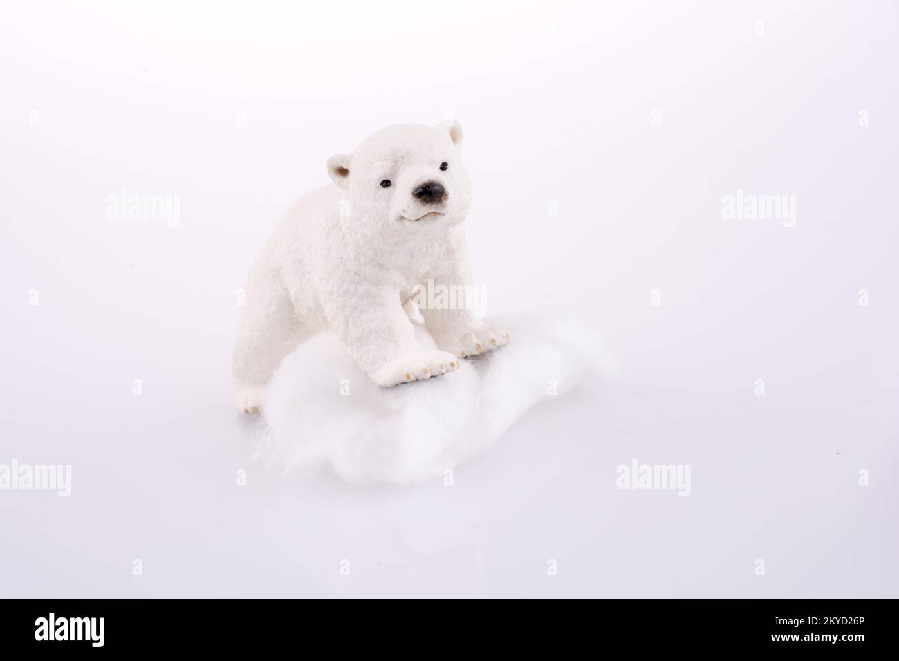 L'ours polaire sur la glace sur un fond blanc Banque D'Images