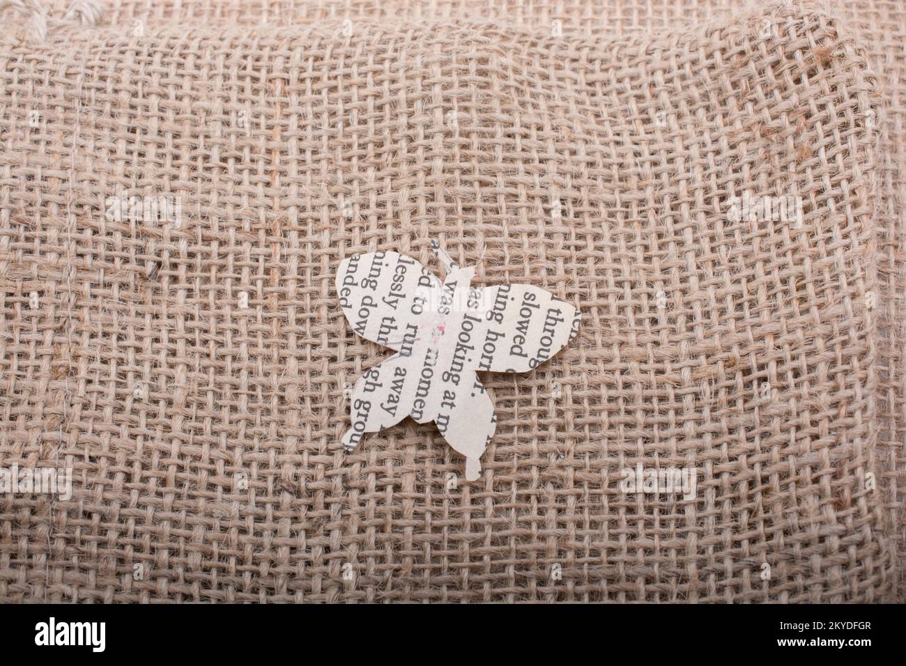 Le papier est découpé en forme de papillon Banque D'Images