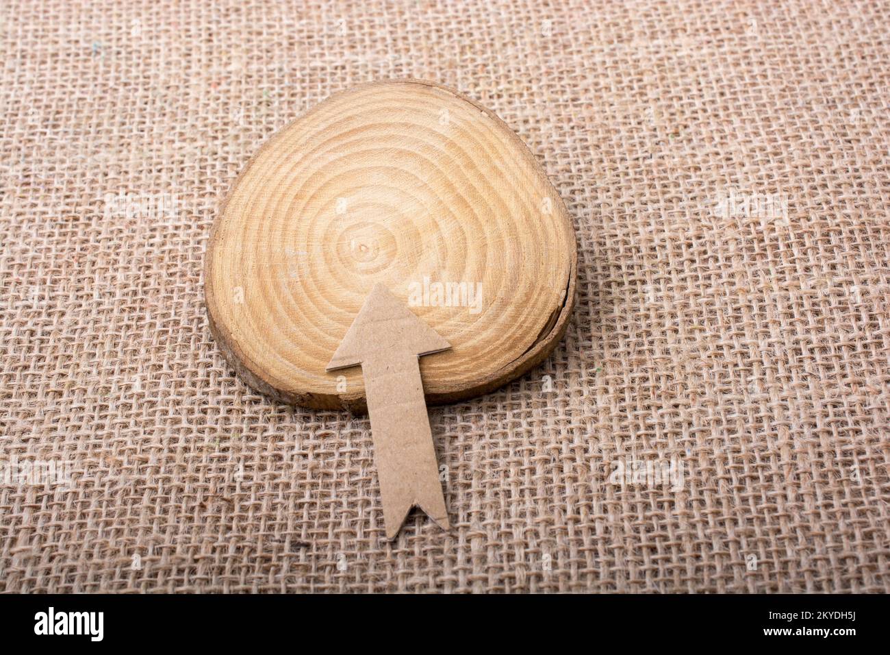 Panneau de flèche coupé de Brown sur la pièce de bois Banque D'Images