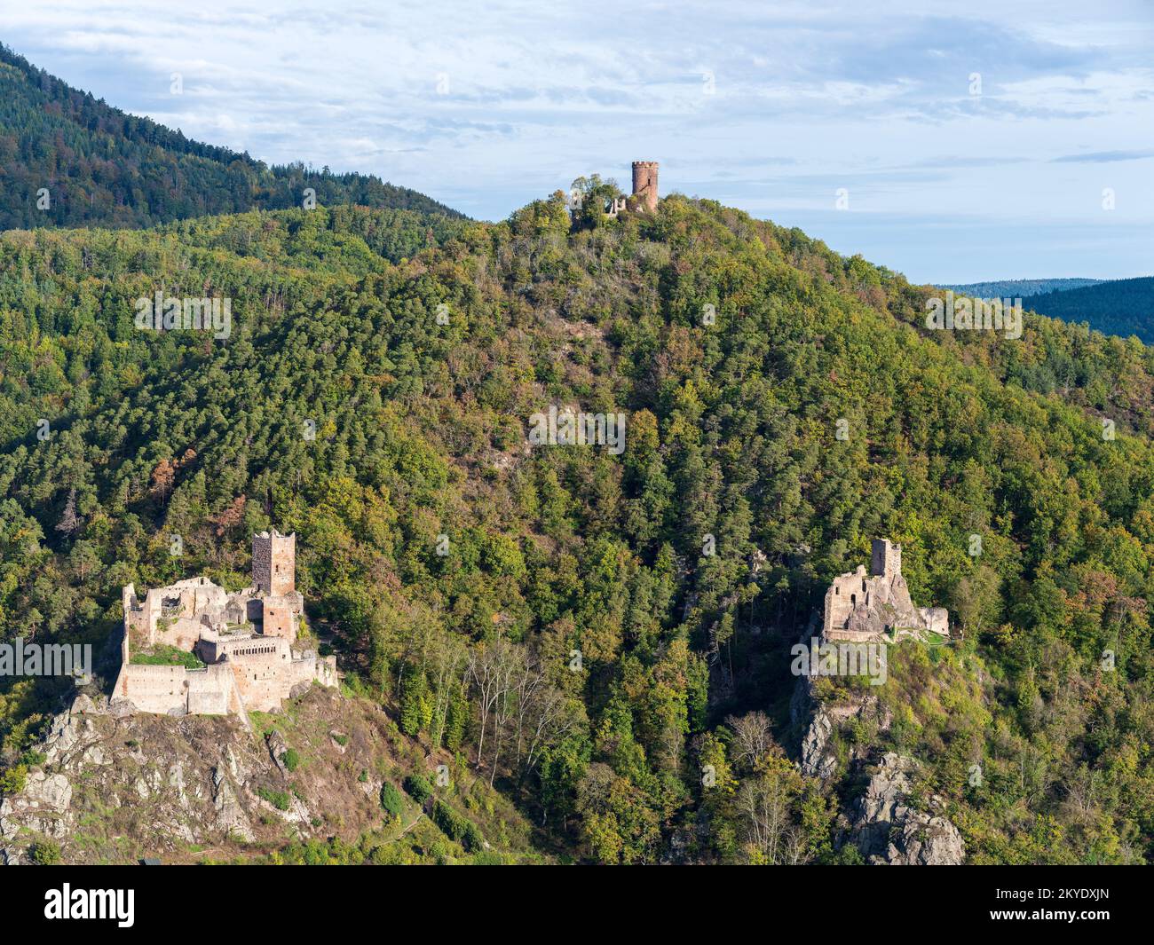 VUE AÉRIENNE. Les châteaux de Ribeauvillé ; (de gauche à droite) Saint-Ulrich, Haut-Ribeaupierre et Girsberg. Haut-Rhin, Alsace, Grand est, France. Banque D'Images