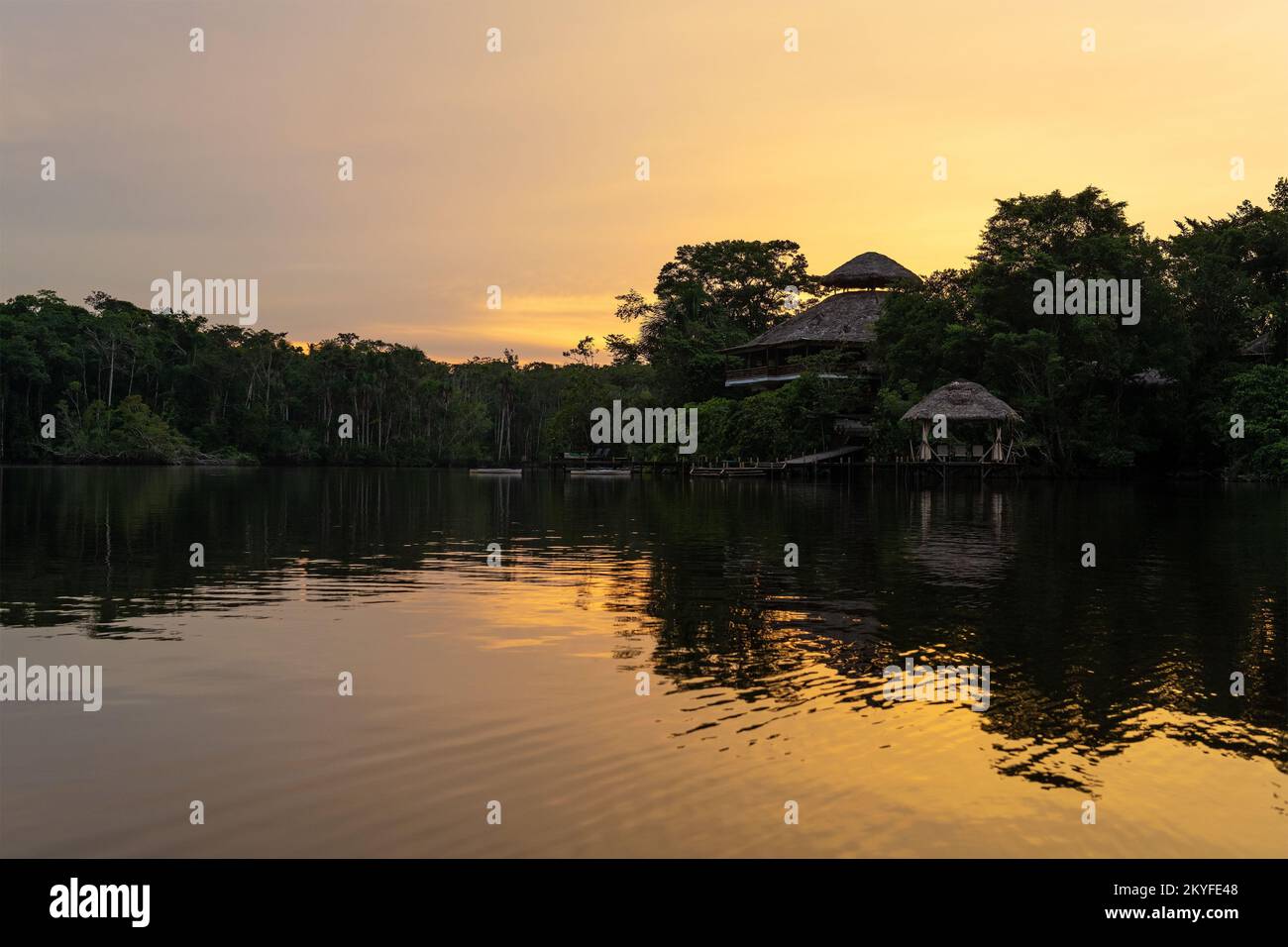 Reflet de la forêt amazonienne au coucher du soleil, parc national de Yasuni, Équateur. Banque D'Images