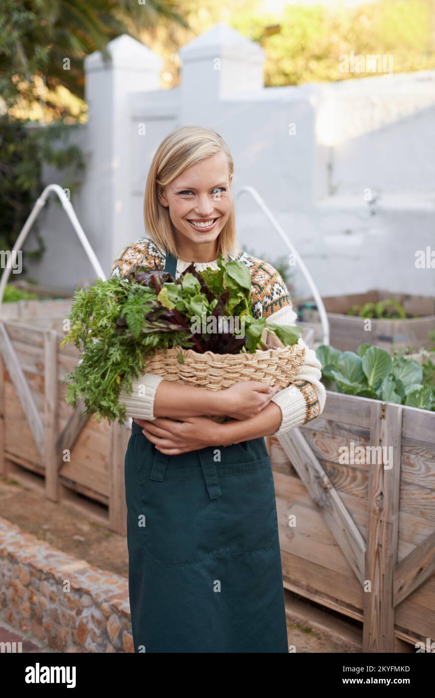 Je ne choisis que les plus frais. Portrait d'une jeune femme attrayante faisant du jardinage de légumes. Banque D'Images