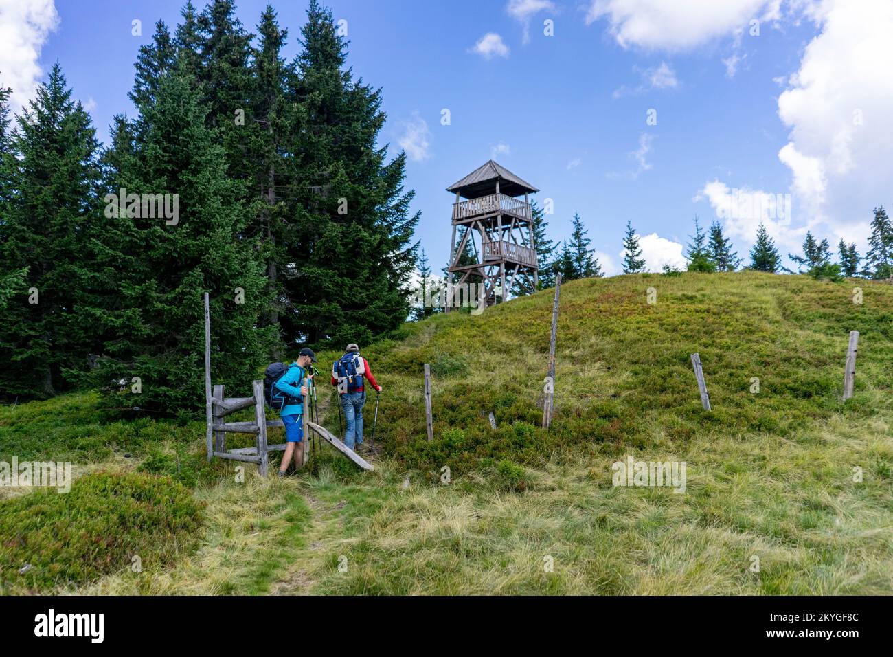 Trekking dans les montagnes de Slovénie, dans la région de Smrekovec. Banque D'Images