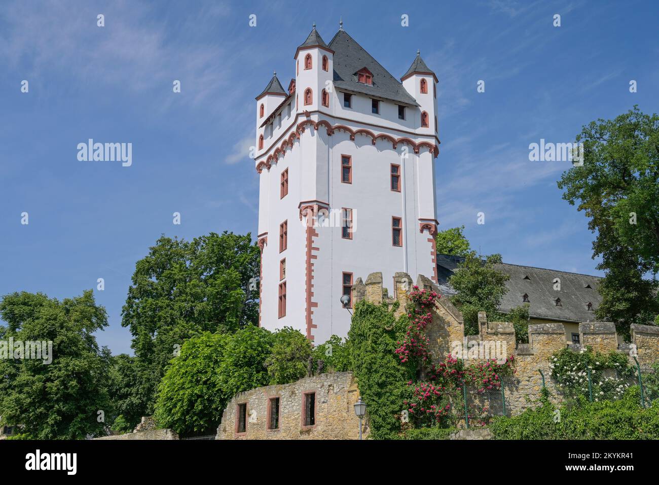 Wehrturm, Kurürstliche Burg, Eltville, Hessen, Deutschland Banque D'Images