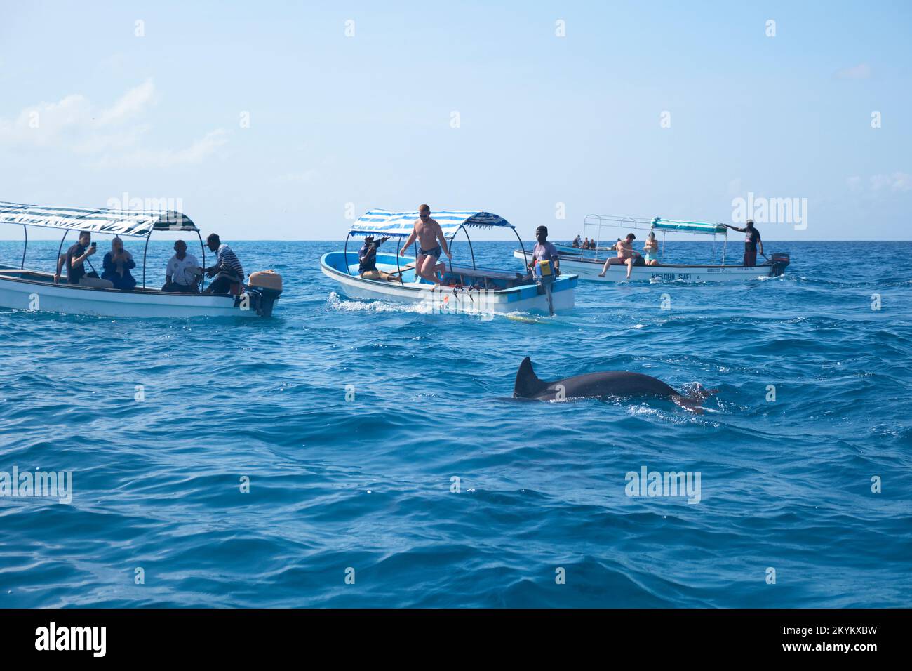 Les touristes sur la vue des dauphins voyant des excursions en bateau chasse les dauphins dans l'eau pour essayer de nager avec eux sur un site au large de la côte de l'atoll de Mnemba à Zanzibar, Banque D'Images