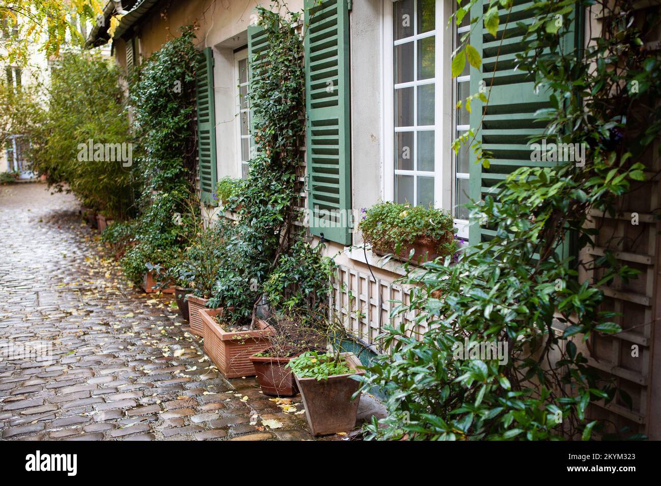 Charmante petite maison dans une impasse verte à Paris Banque D'Images