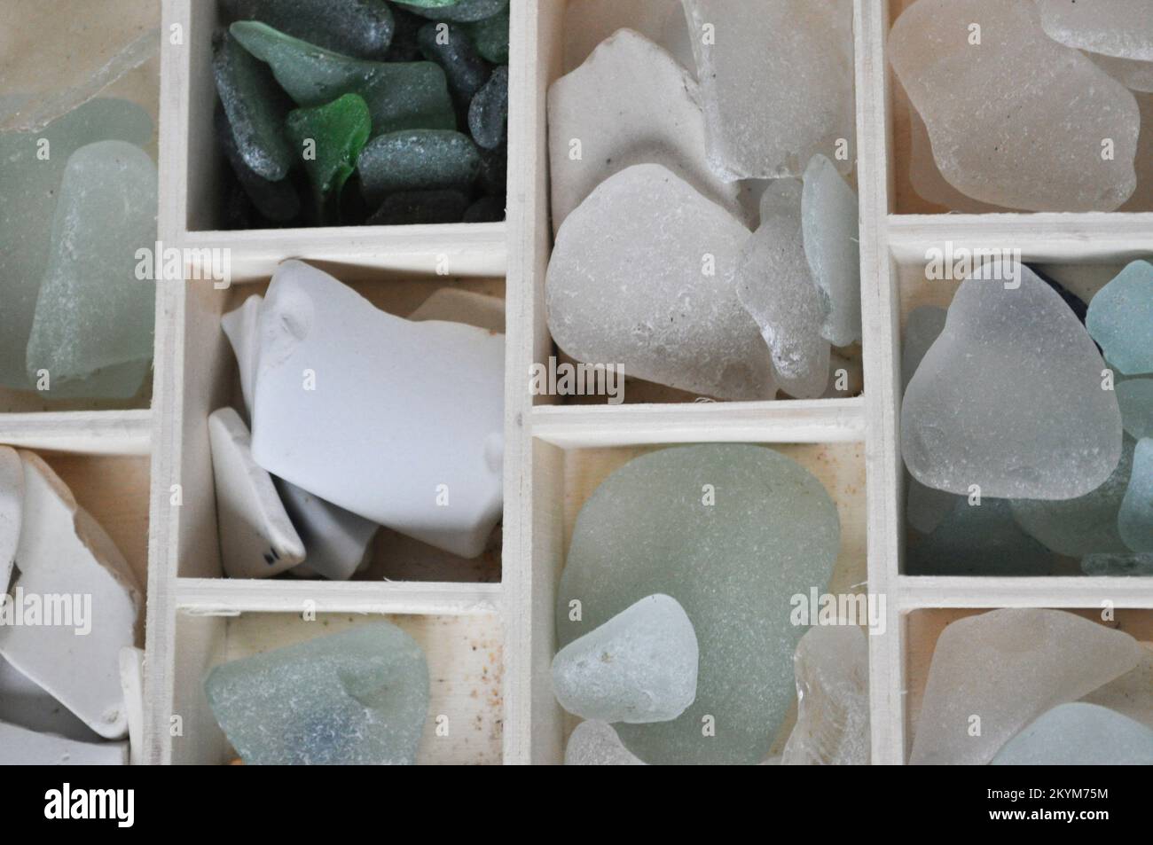 Une collection de verre de mer, de coquillages et de morceaux de poterie  présentés dans des compartiments individuels en bois dans une boîte de  présentation Photo Stock - Alamy