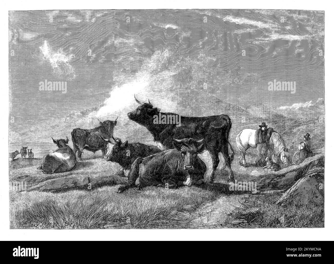 Une scène agricole anglaise quitEssential dans laquelle un fermier avec sa femme et son chien reposent sur le bord de la route comme ils conduisent leur bétail à une foire locale. Une scène de l'artiste Henry Brittan Willis (1810-1884), peintre de paysages et d'animaux anglais. Banque D'Images