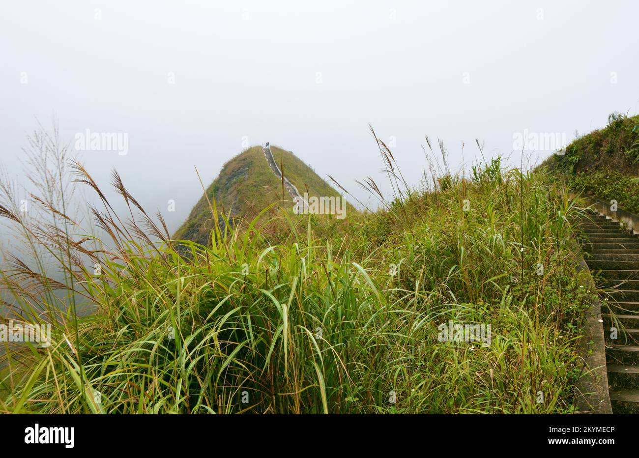 Sentier de randonnée de la colonne vertébrale des dinosaures de Binh Lieu avec roseaux sur les côtés Banque D'Images