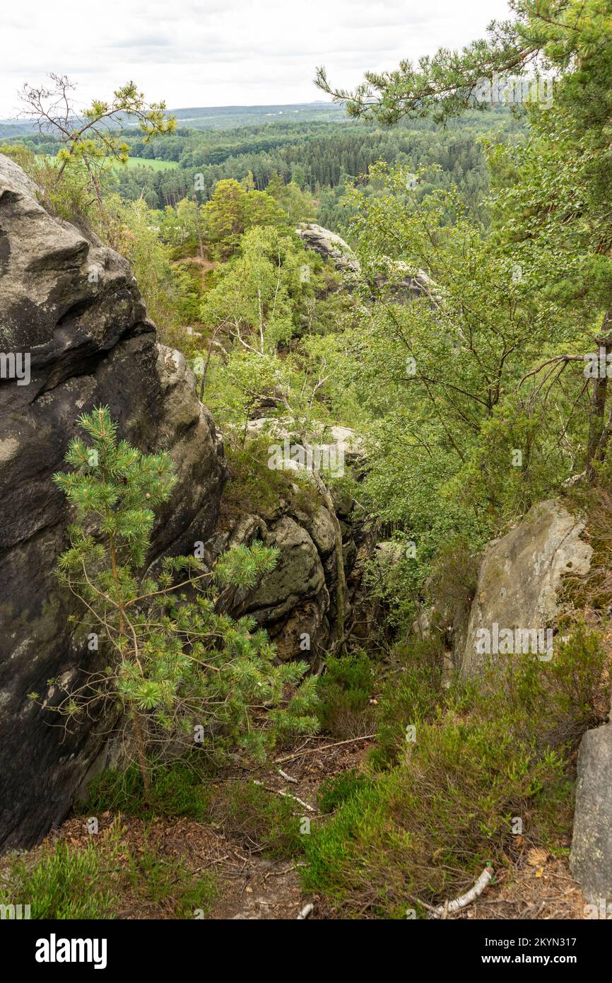 Suisse saxonne montagnes de grès de l'Elbe Banque D'Images