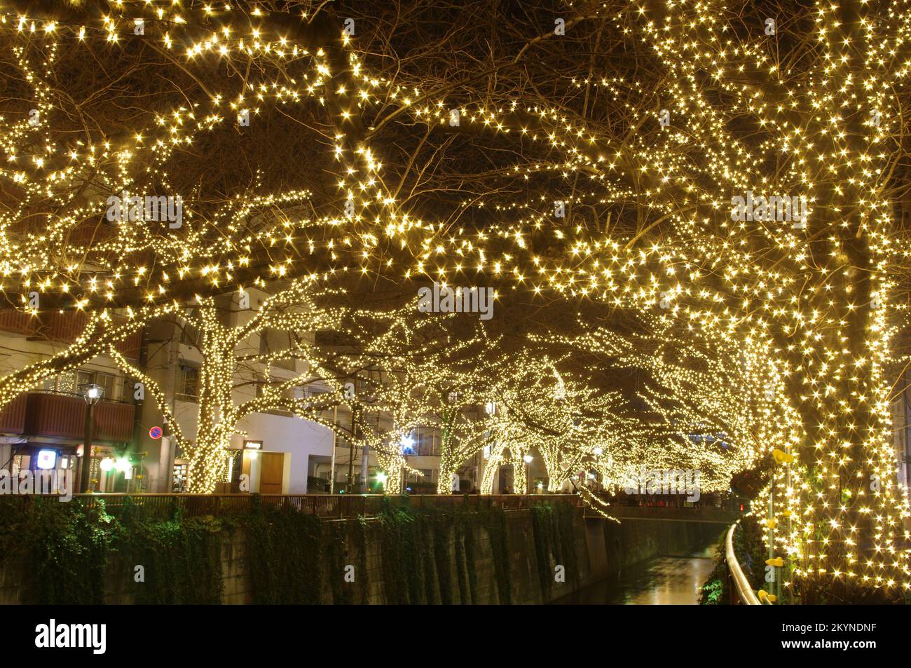 Illuminations de Noël à Tokyo Banque D'Images
