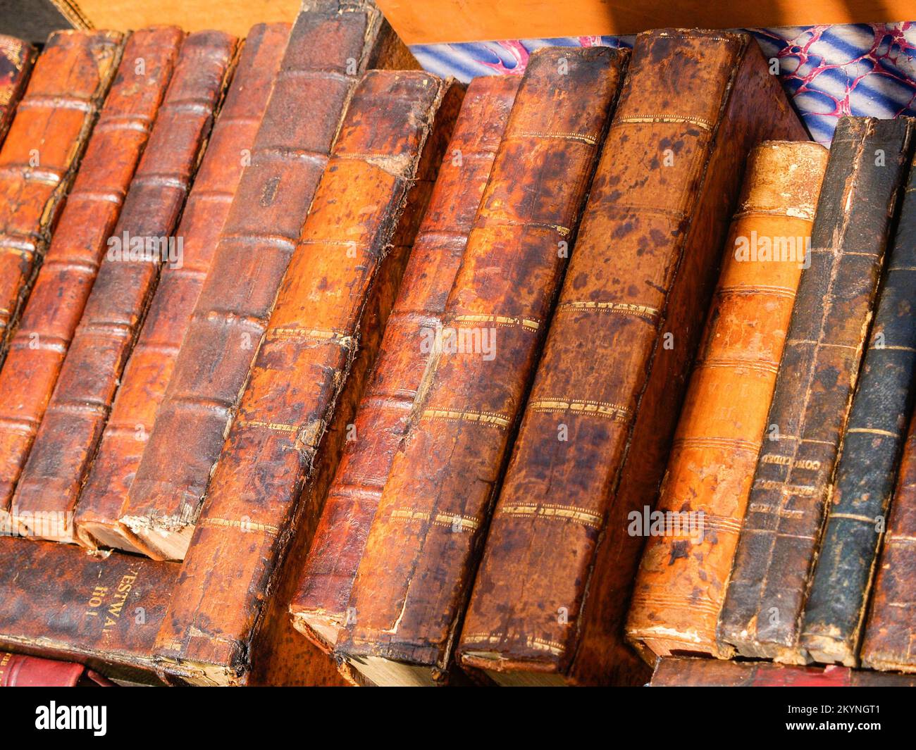 Rangée de cuir vintage livre épines sans titres dans le marché. Banque D'Images