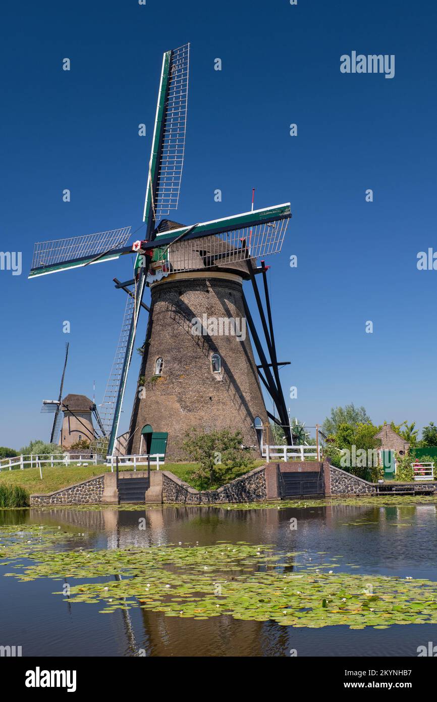 Pays-Bas, province de la Hollande du Sud, Kinderdijk, quelques-unes des 19 moulins à vent du village construits au 18th siècle. Banque D'Images