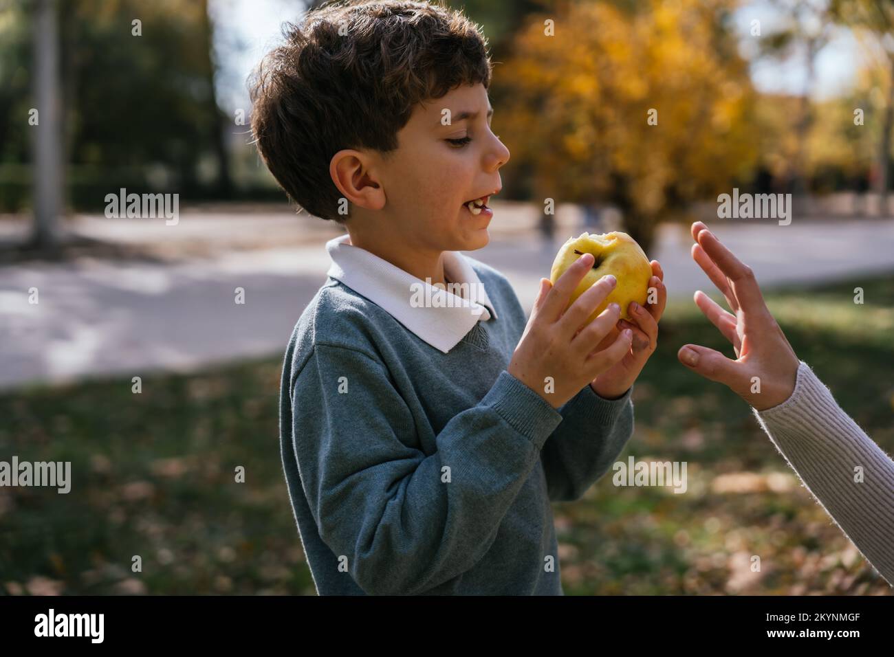 Crop maman essayant de prendre la pomme de son drôle à mâcher des fruits tout en passant la journée de week-end dans le parc d'automne ensemble Banque D'Images