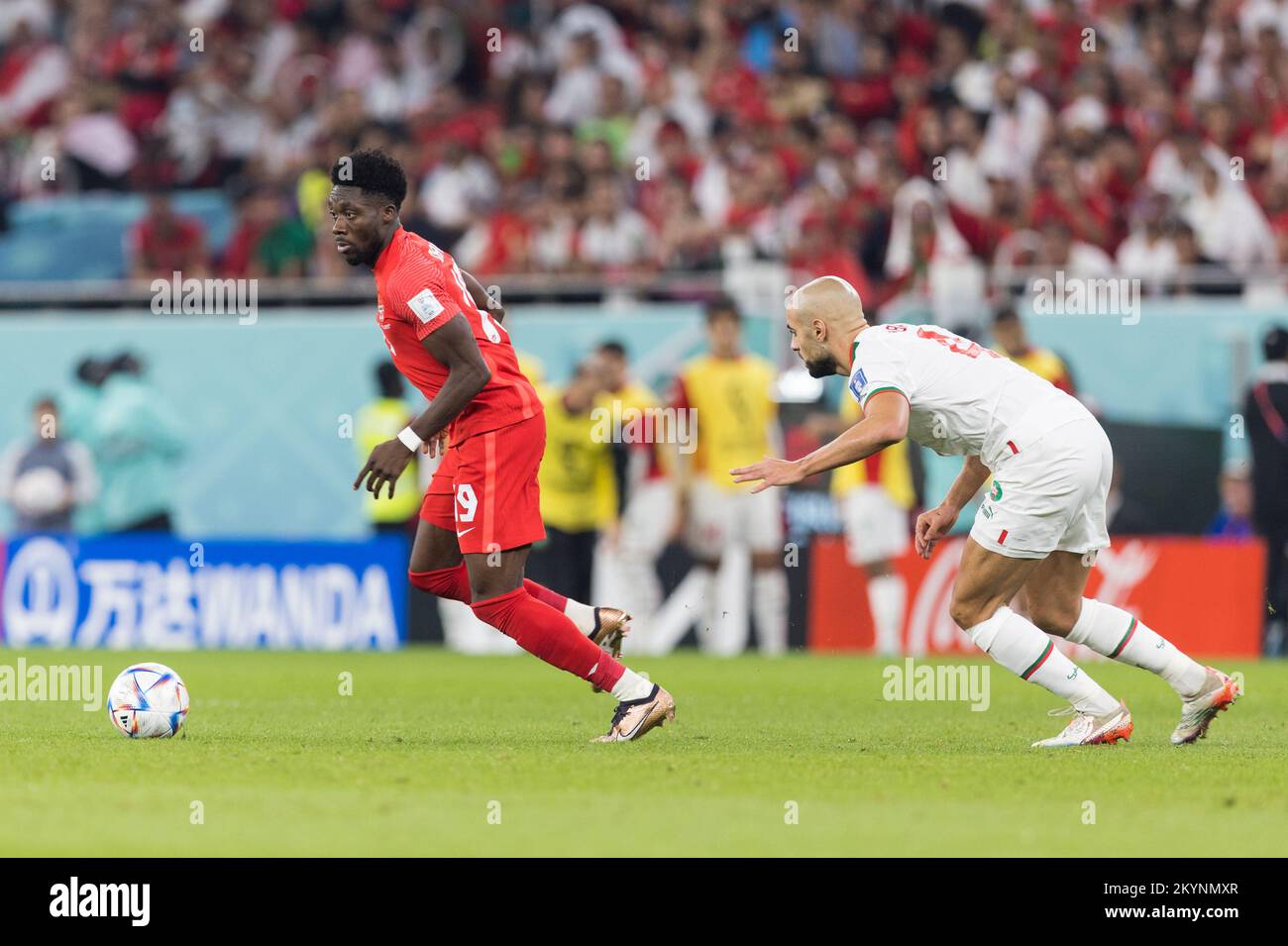 Doha, Qatar. 01st décembre 2022. 01.12.2022, Doha, pilka nozna, Mistrzostwa Swiata, Kanada - Maroko, N/z Alphonso Davies (CAN), Sofyan Amrabas (MAR), fot. Tomasz Jastrzebowski/Foto Olimpik/Sipa USA -- 01.12.2022, Doha, football, coupe du monde de la FIFA 2022, Canada - Maroc, sur la photo: Alphonso Davies (CAN), Sofyan Amrabas (MAR), fot. Tomasz Jastrzebowski/Foto Olimpik/Sipa USA crédit: SIPA USA/Alay Live News Banque D'Images