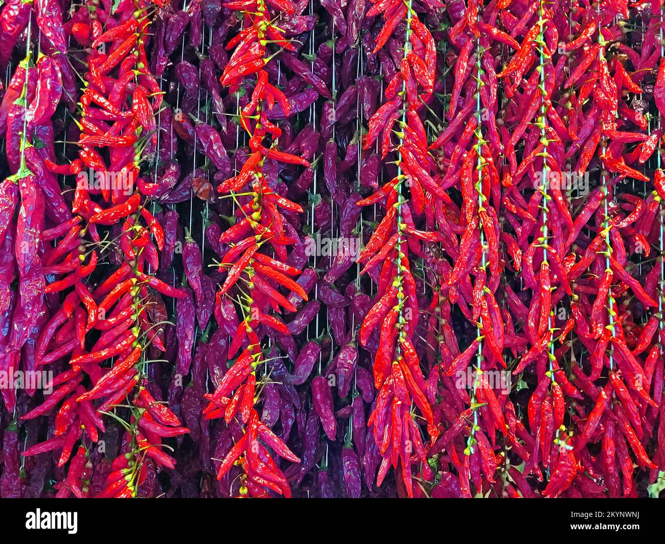 épices exotiques du célèbre marché agricole de madeiras à funchal Banque D'Images