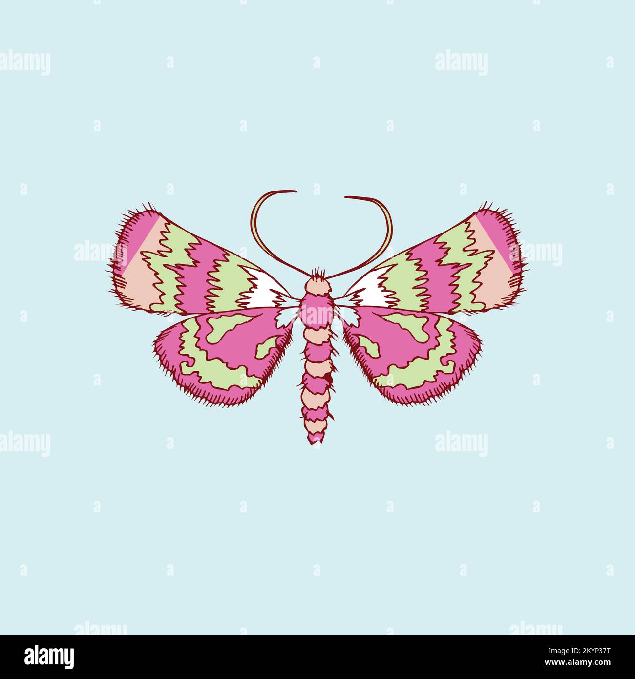 Modèle de papillon volante dessiné à la main sur fond de ciel Illustration de Vecteur