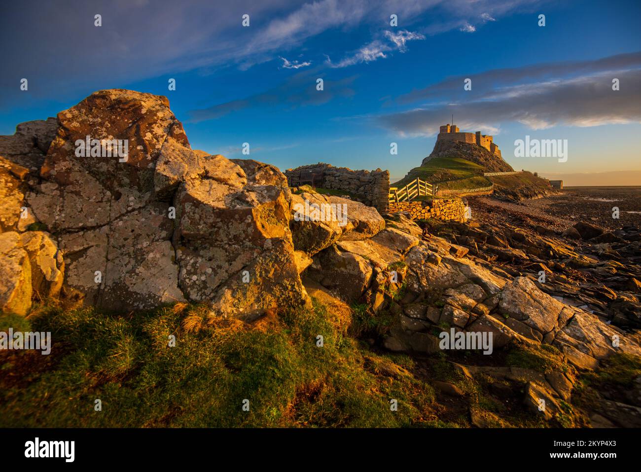 Château de Lindisfarne construit par le roi Henri VIII pour protéger l'ancrage de la flotte dans le port de l'île Sainte. Le château est construit sur un affleurement volcanique et Banque D'Images