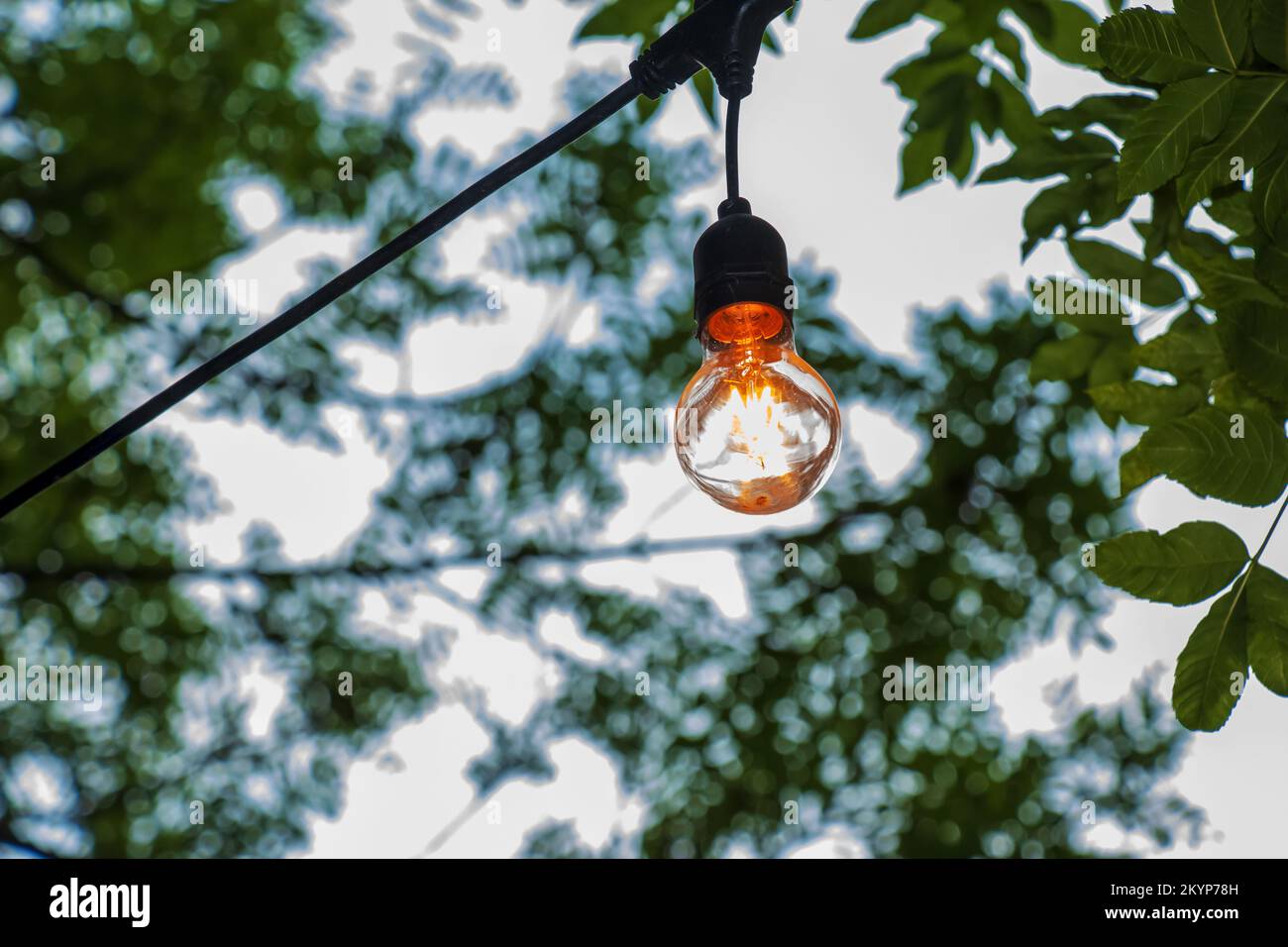 Une ampoule allumée est suspendue sur un arbre dans le jardin. Décoration  de jardin festive Photo Stock - Alamy