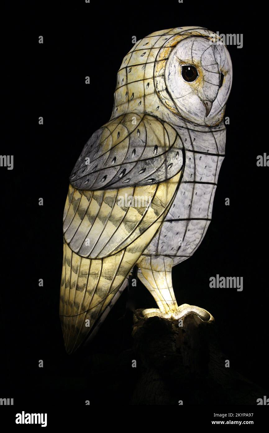 Suzan Vagoose - nuit lanterne d'Heligan - Barn Owl Banque D'Images