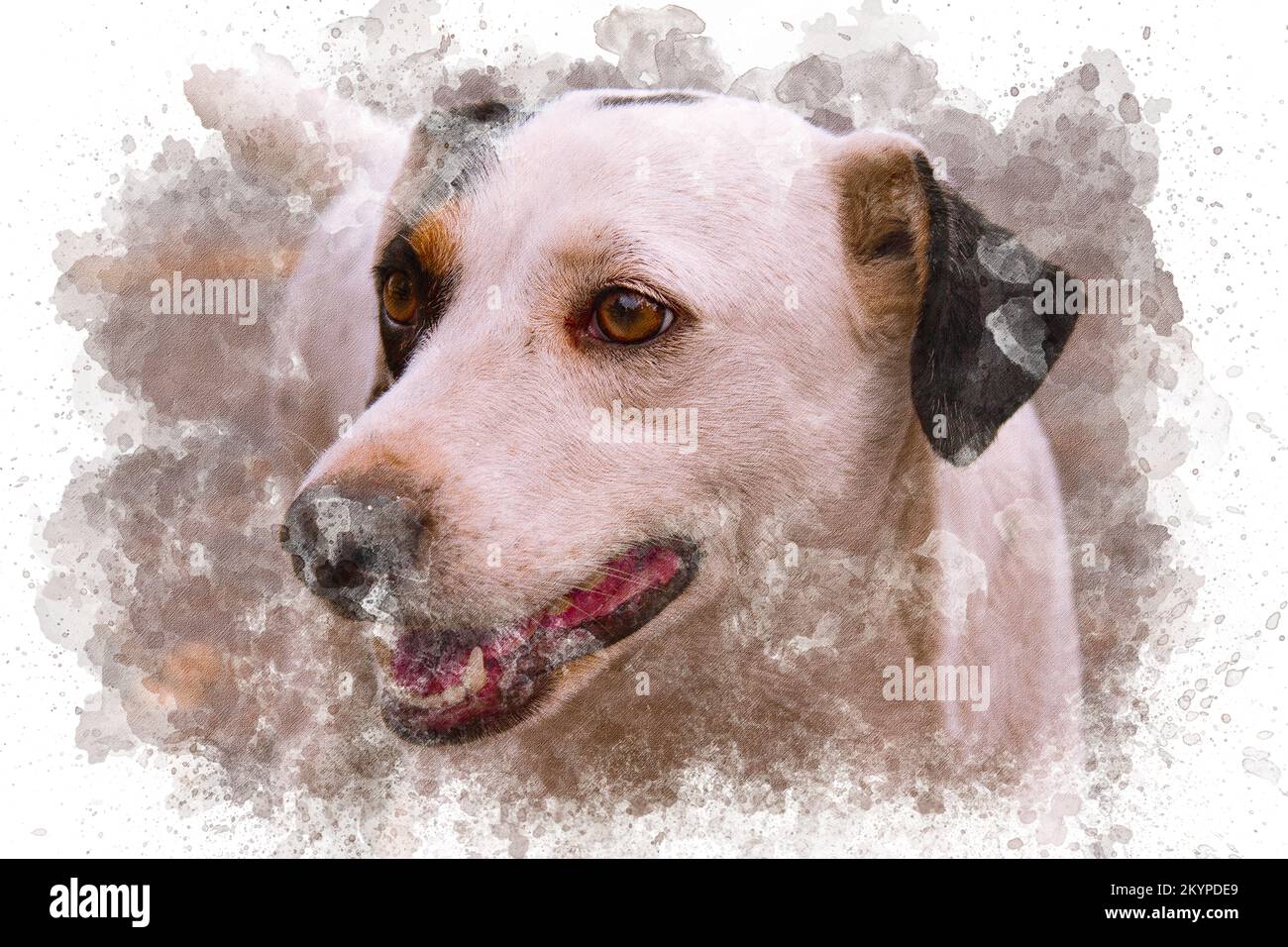 illustration aquarelle d'un chien errant. Contexte du concept de la Journée internationale des chiens. Dessin aquarelle pour toile imprimable Banque D'Images