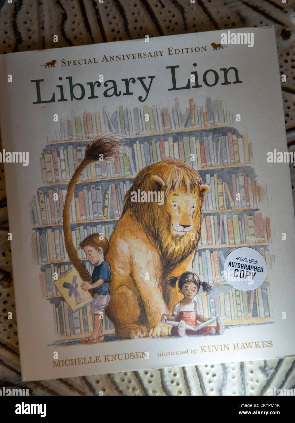 La bibliothèque Lion est un livre pour enfants merveilleux qui présente New York City, États-Unis. Banque D'Images